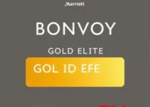 status gold elite marriott bonvoy